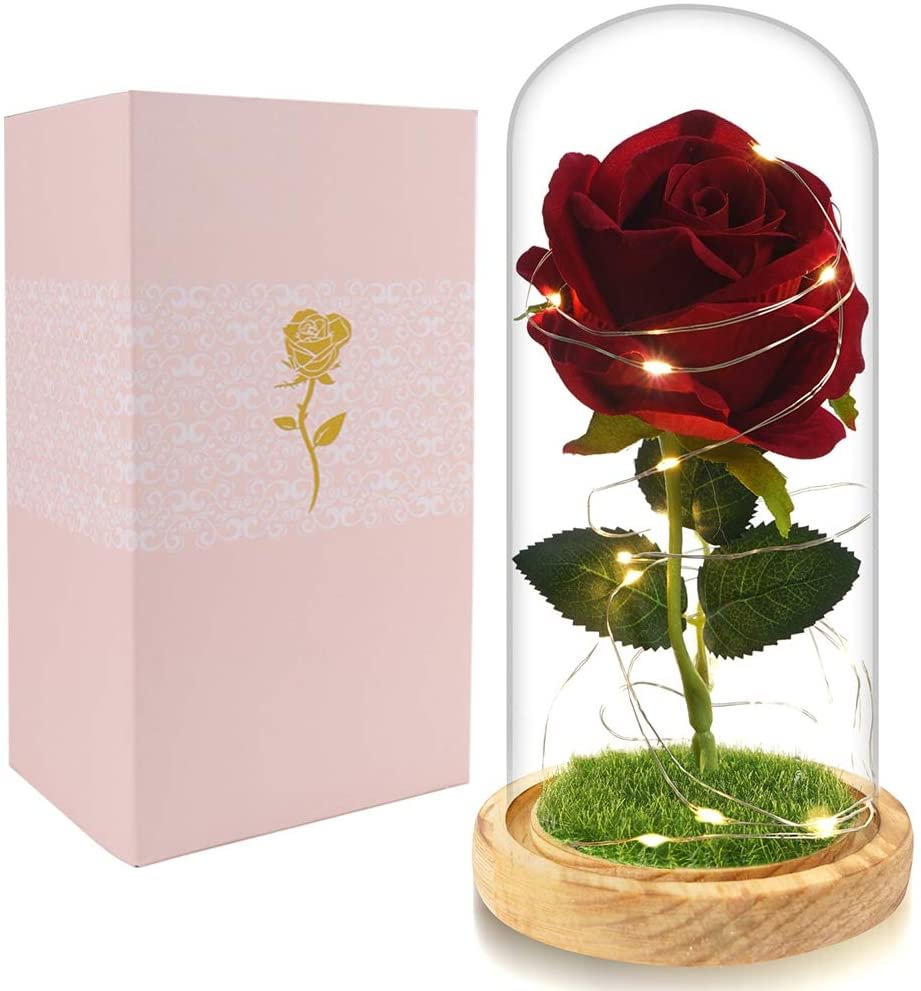 Beauty and The Beast Rose Enchanted Flower with LED Light in Glass Dome for Christmas Valentine's Day Mother's Day Birthday Best Gifts for Girlfriend Wife Women Her - Red