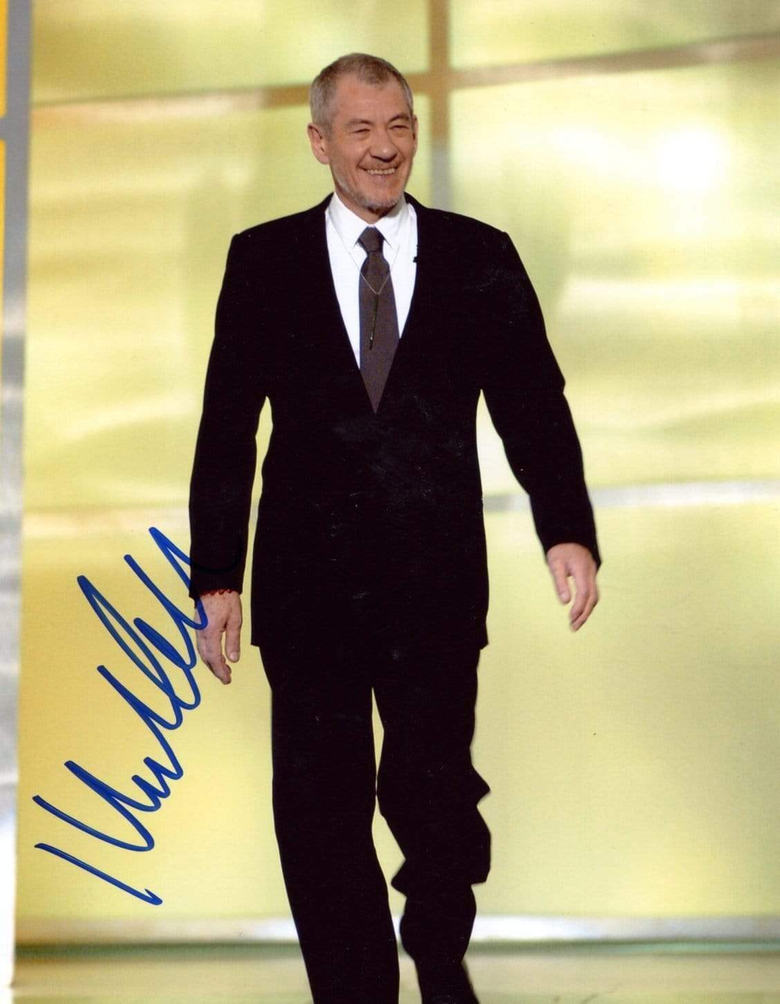 Ian McKellen ACTOR autograph, In-Person signed Photo Poster painting