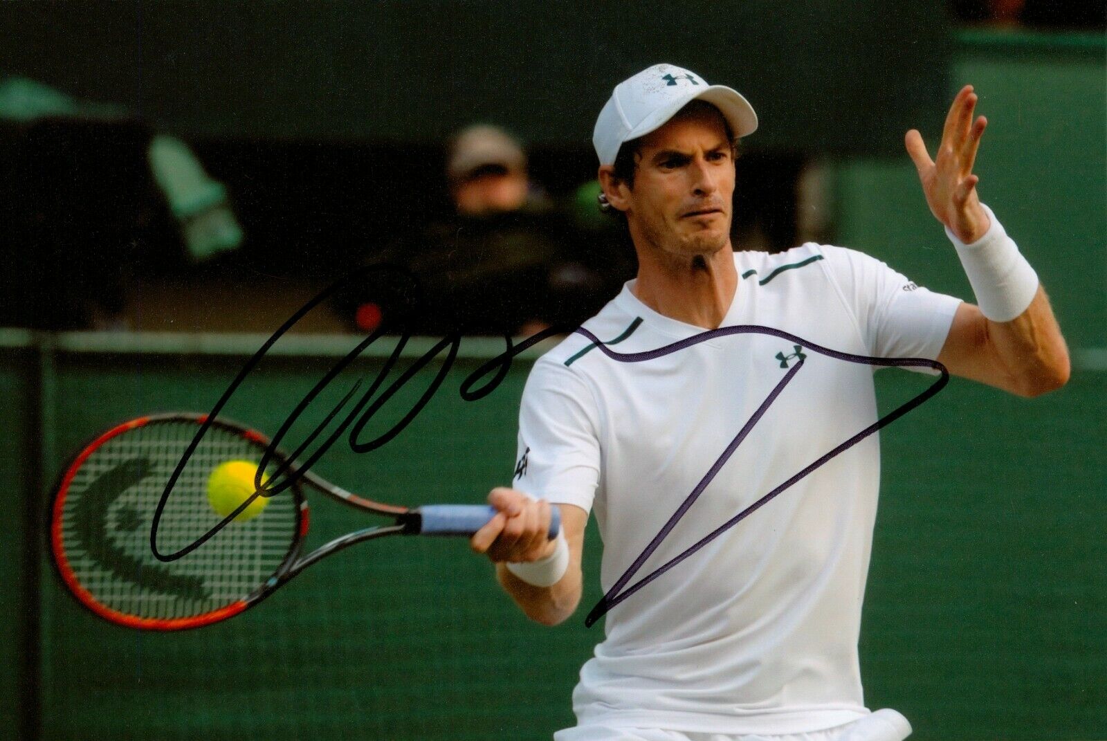 Sir Andy Murray Signed 6x4 Photo Poster painting Tennis Champion ATP Grand Slam Autograph + COA