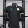 2024 Player Version Senegal Black Special Soccer Jersey