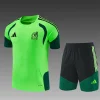 Kids Kit Mexico 26-27 Short-sleeve Tracksuit Green Chandal   