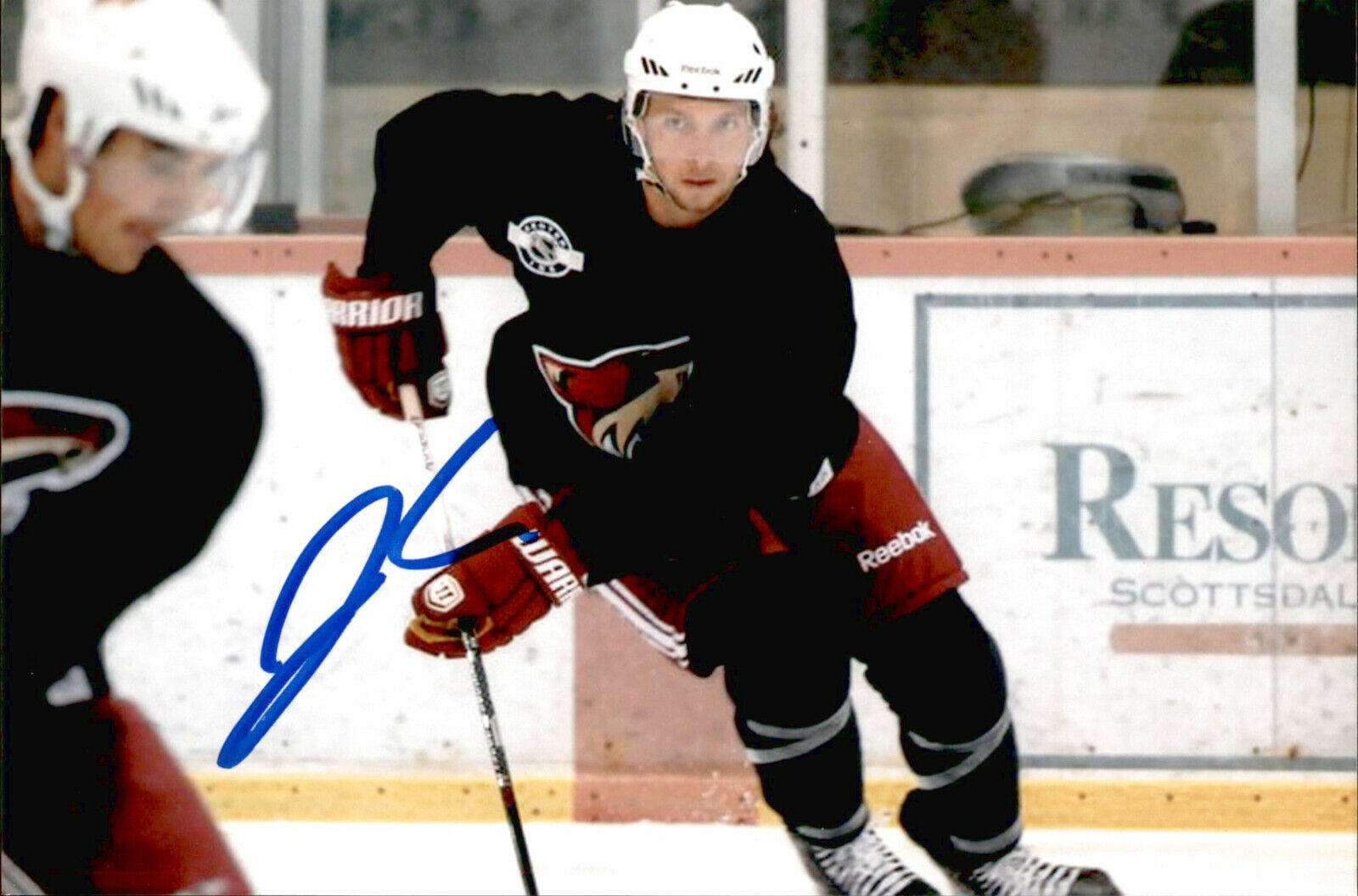 Justin Hache SIGNED autographed 4x6 Photo Poster painting ARIZONA COYOTES #2