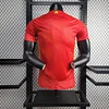 2024 Player Version Spain Home Football Shirt 1:1 Thai Quality