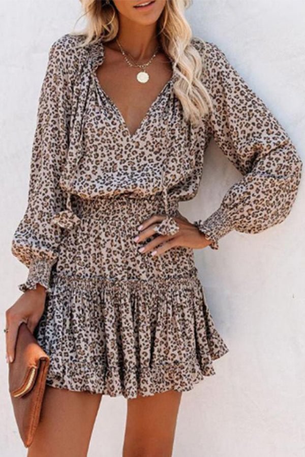 Leopard Print Long Sleeve V-neck Mini Dress