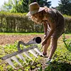Garden Rake Durable Metal Harrow Garden Hand Rake Tool Heavy Duty Rake Farm Tool