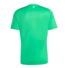 Manchester United Goalkeeper Soccer Jersey 2025/26 Green