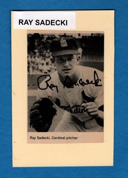 1964 RAY SADECKI-ST LOUIS CARDINALS AUTOGRAPHED Photo Poster painting-NM (d.2014)