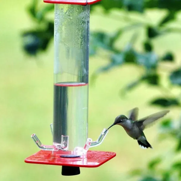 Peter&rsquo;s Hummingbird Feeder