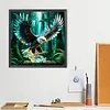 Diamond Painting -DIY Round Drill Hawk(40x40cm)