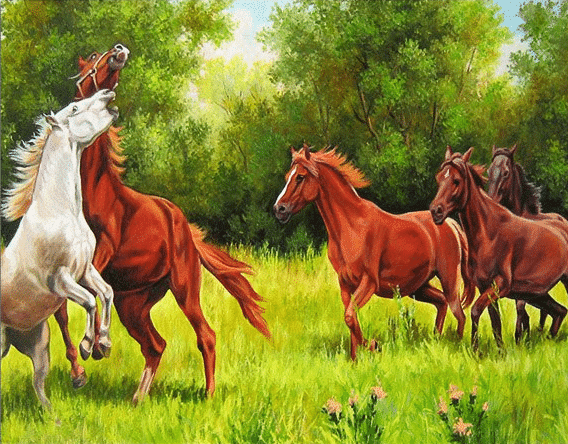 

Horses in Forest – Paint By Numbers - 40*50CM, 501 Original