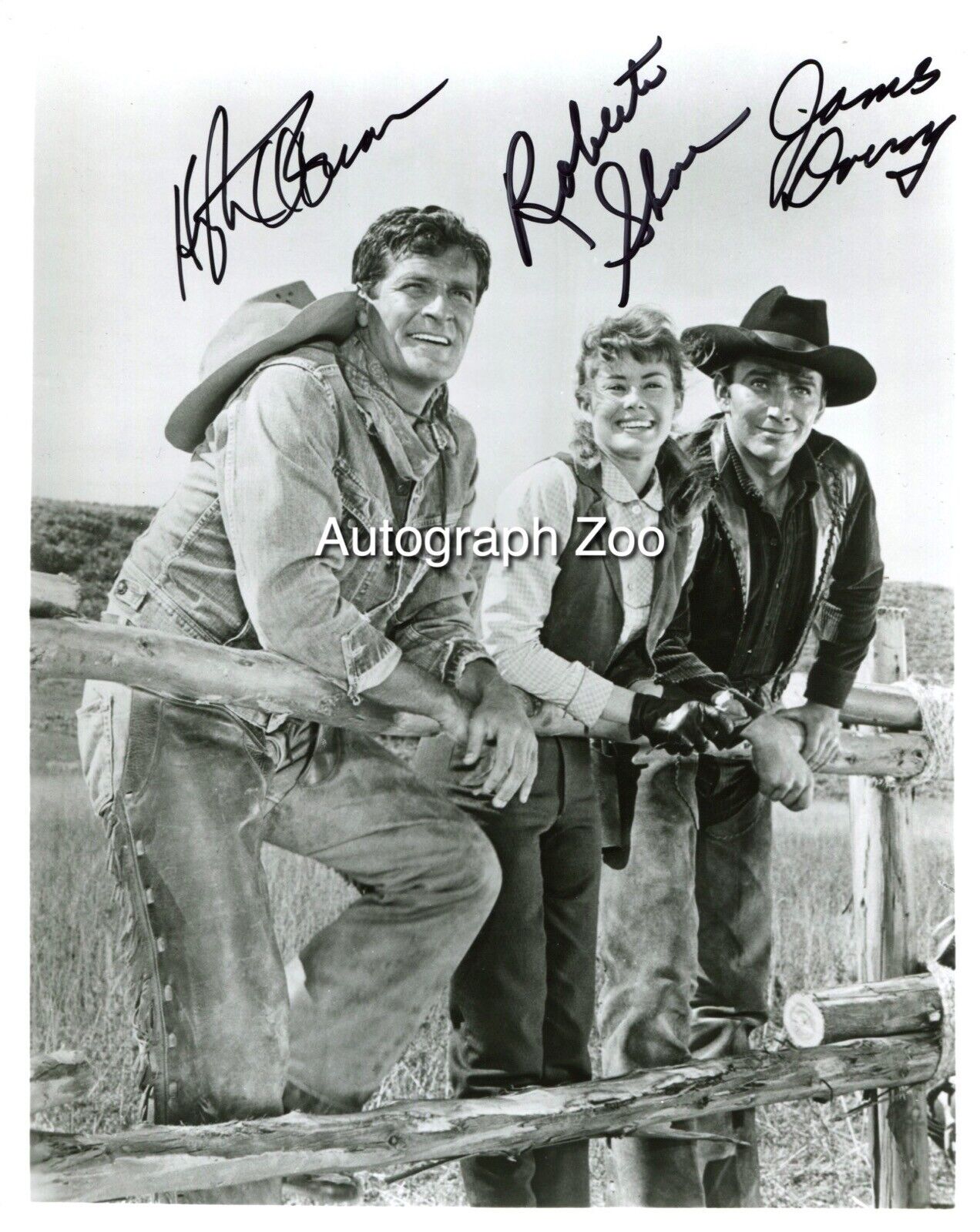 Hugh O’Brian, James Drury and Roberta Shore signed The Virginian 8x10 Photo Poster painting