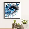 Oeil de l&rsquo;&acirc;me-peinture sp&eacute;ciale diamant partiel-30*30cm