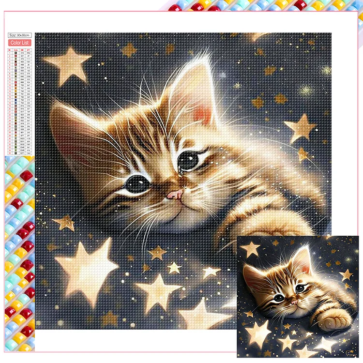 Full Square Diamond Painting - Starlight Cat 30*30CM