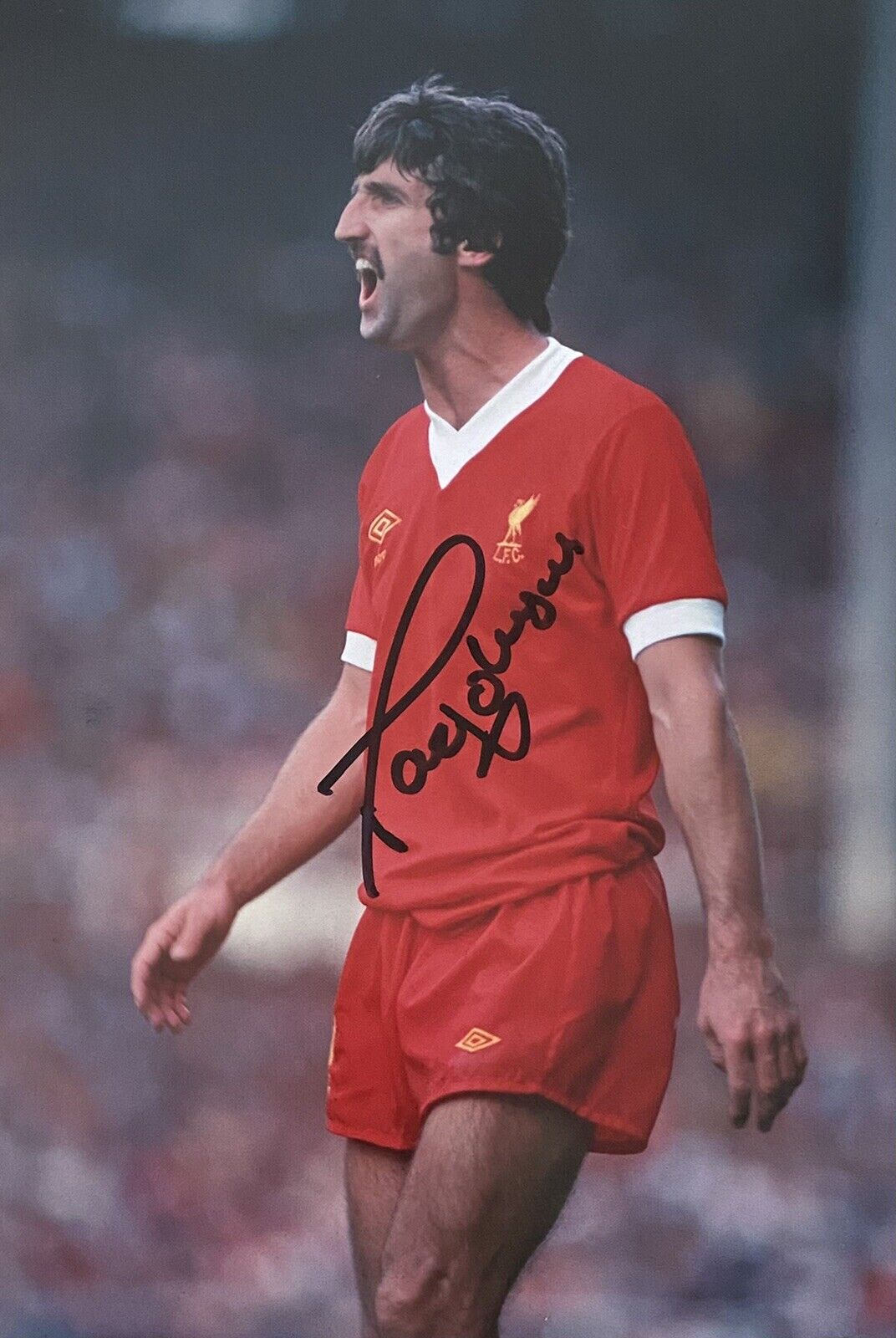 David Genuine Hand Signed Liverpool 12x8 Photo Poster painting 7