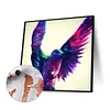 uk.everydayedeals (Limited Stock)Paint By Number - Oil Painting -  Hummingbird (40*40Cm)