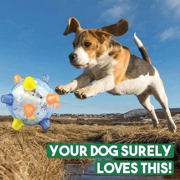 💥BUY 2 GET 1 Free💥JUMPING ACTIVATION BALL FOR DOGS