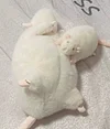 Handmade chubby white rat bag