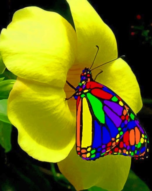 

Rainbow real Life Butterfly – Paint By Numbers - 40*50CM, 501 Original
