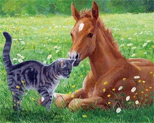 

Cat and Horse in The Meadow – Paint By Numbers - 40*50CM, 501 Original