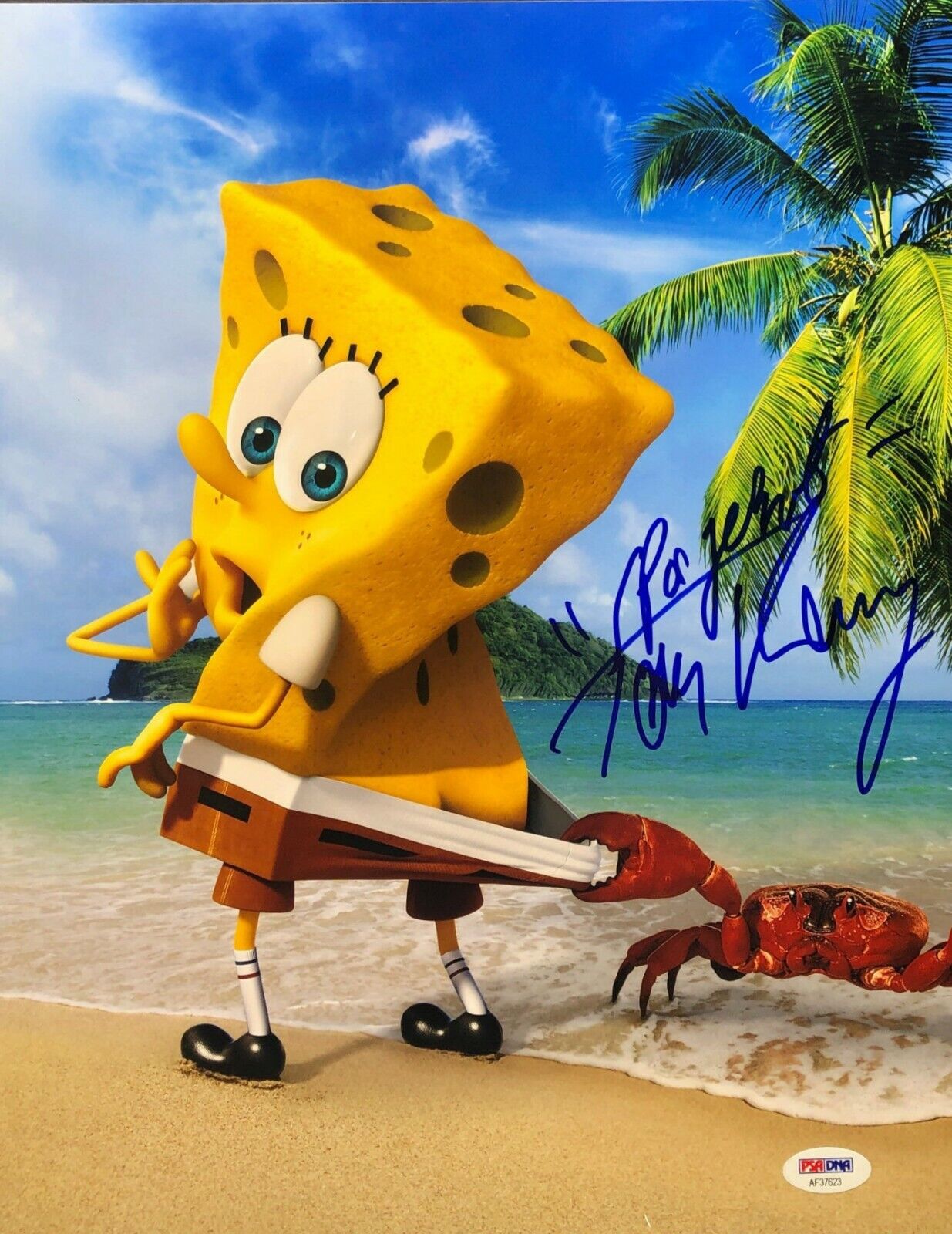 Tom Kenny Signed 11x14 Photo Poster painting *Voice Actor w/ SpongeBob