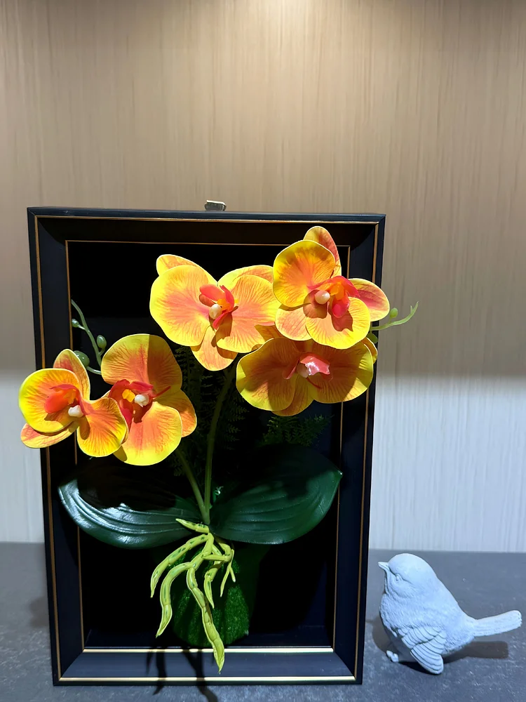 Lifelike & Eco-Friendly Artificial Orange Phalaenopsis Orchid Framed Botanical Display 🌸(Size9 in&times; 12 in)