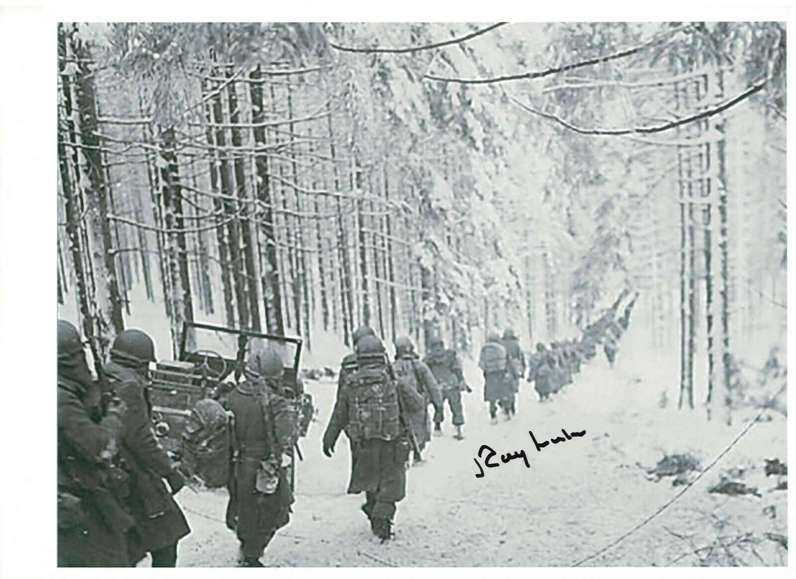 RAY LUHN 42ND INFANTRY DIVISION BATTLE OF THE BULGE VETERAN RARE SIGNED Photo Poster painting