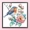 Robin-11CT Stamped Cross Stitch Bead Embroidery 36*36cm/14.17*14.17in tapestrymarket