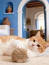 Rabbit Fur Ball Cat Toy 3.15in Plush Fuzzy Artificial Balls for Kitten Pet Gifts
