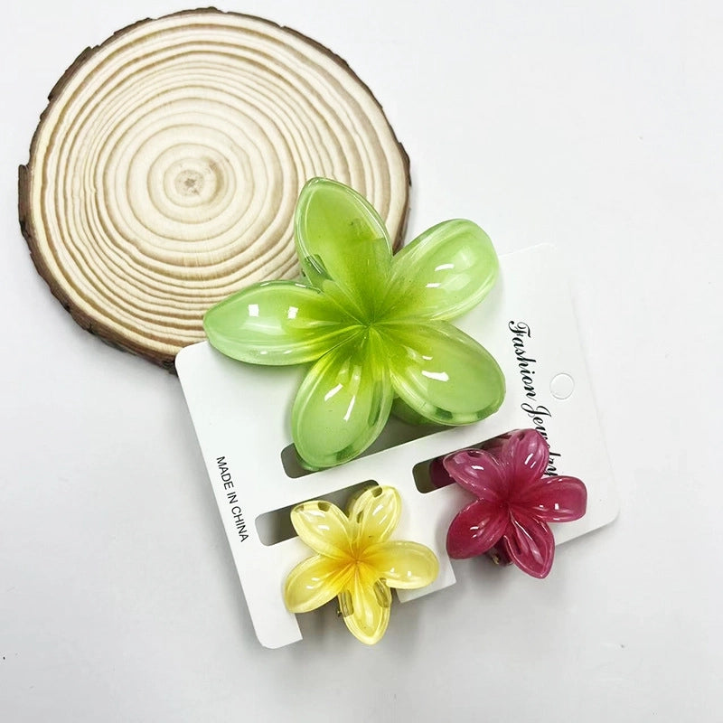 Vacation Modern Style Women’s Flower Resin Hair Claws