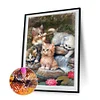 (5 Sizes) Cats-Full Square Diamond Painting