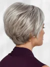 Silver Gray High Temperature Wire Oblique Bangs Wig