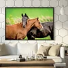 Diamond Painting -DIY Full Square Drill Snuggling Horses