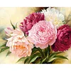 Peony Flower-Paint by Numbers Acrylic Painting 50*40cm