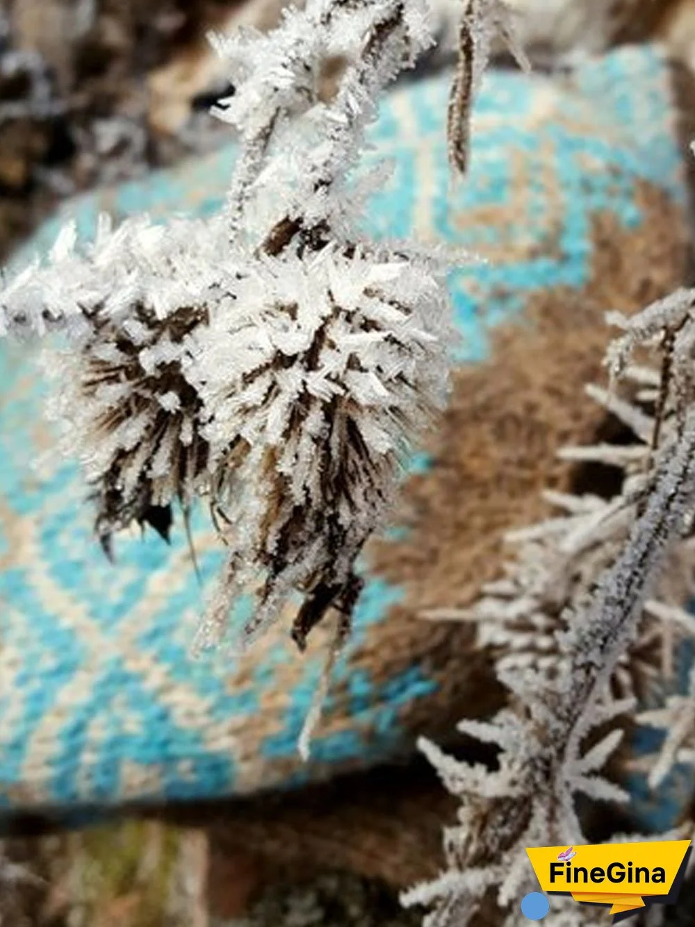 Casual Winter Color Block Casual Long sleeve Crew Neck Cotton-Blend Sweater for Women