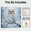 DIY Pearl Painting Owl for Home Wall Decor with Frame(25x25cm)