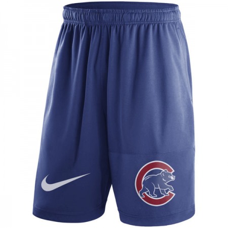 Men's  Royal Chicago Cubs Dry Fly Shorts