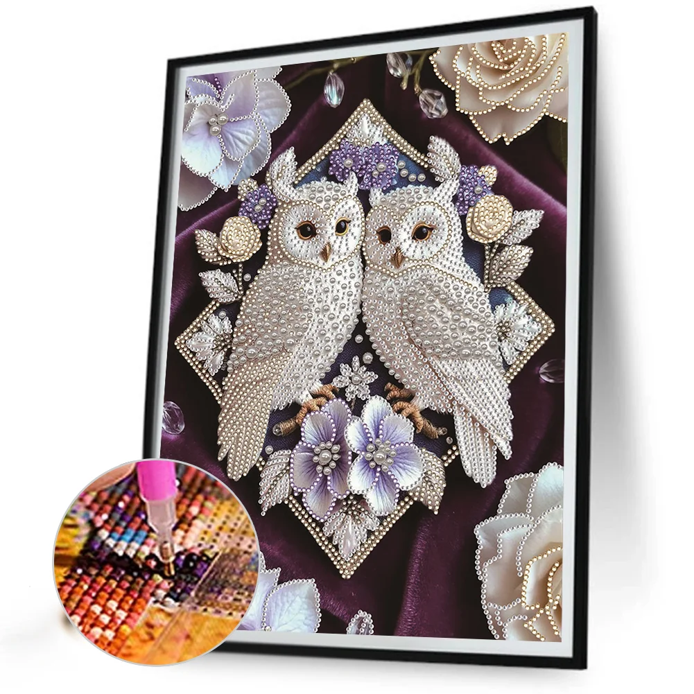 Pearl Twin Owls Special Shaped 5D DIY Partial Drill Diamond Painting Kit Home Art 30x40cm