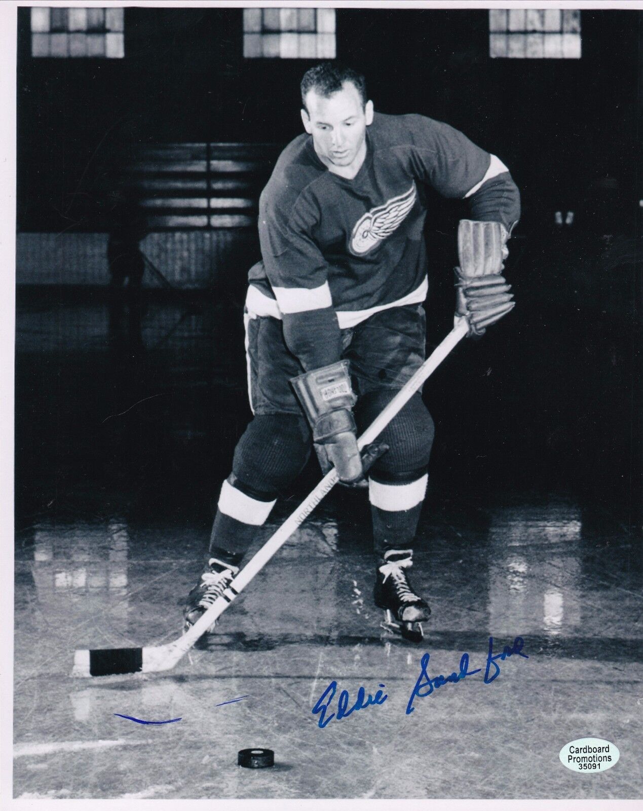 Eddie Sandford Detroit Red Wings Autographed 8x10 Hockey Photo Poster painting W/COA G LL