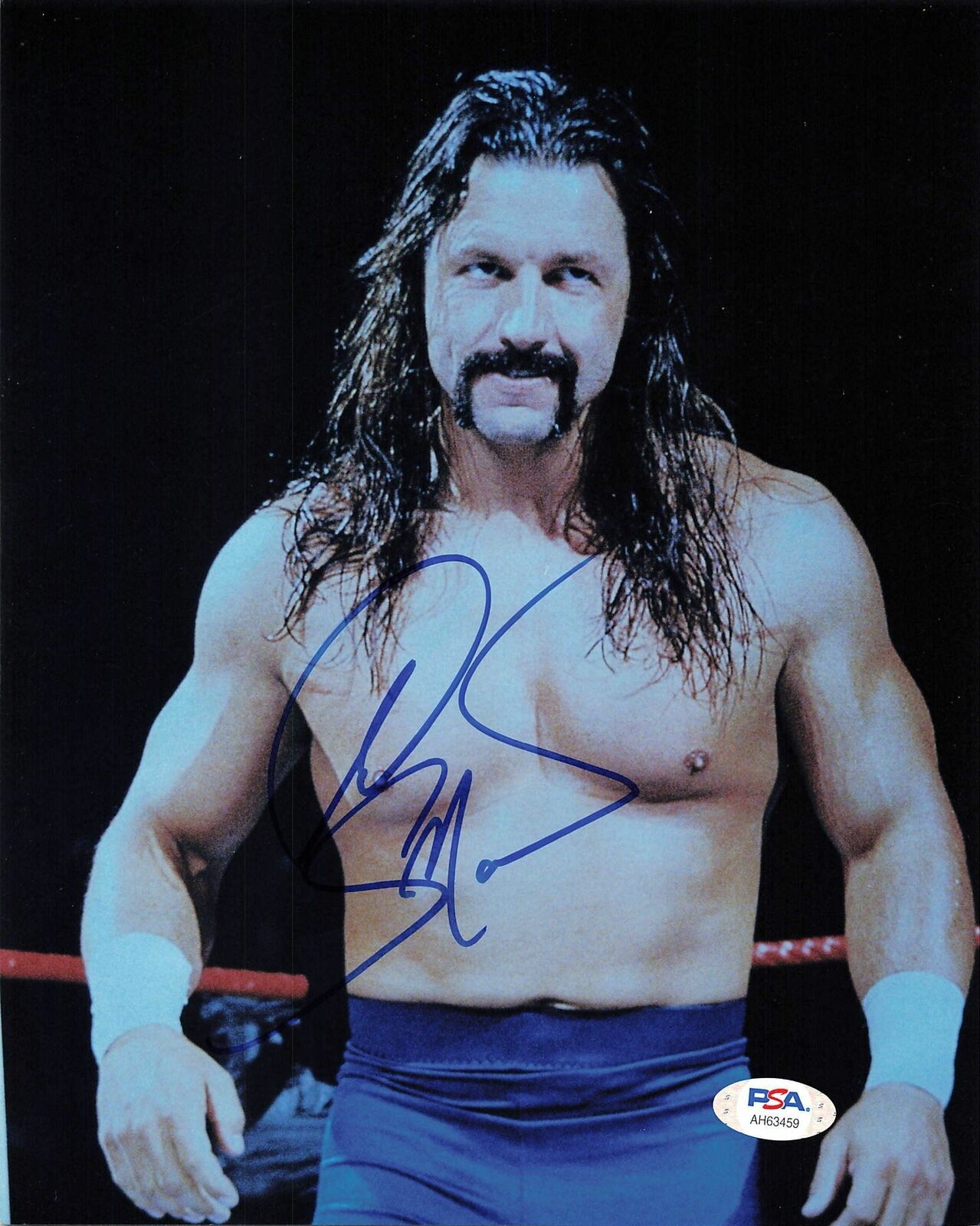 Al Snow signed 8x10 Photo Poster painting PSA/DNA COA WWE Autographed Wrestling