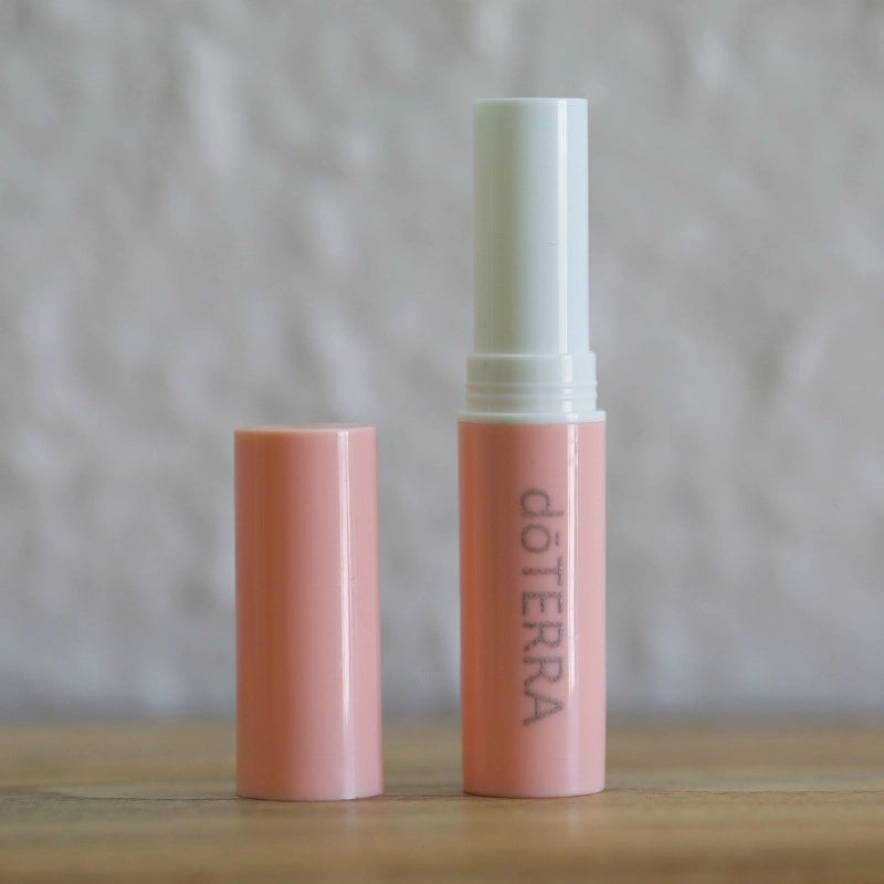 Minimalist Color Block Plastic Lipstick Tube 1 Piece