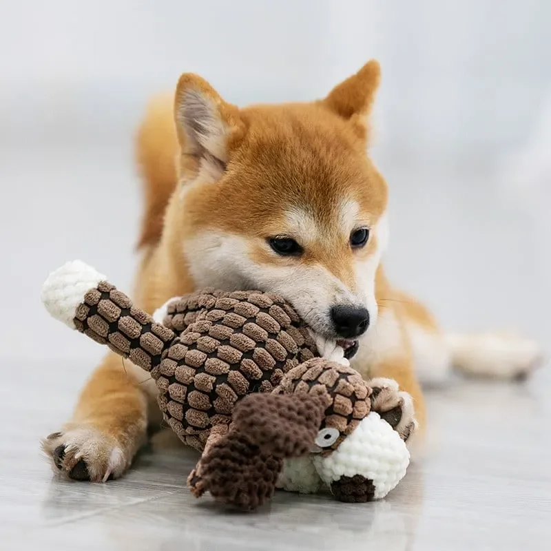 IMMORTAL SQUEAKER PLUSH TOY FOR AGGRESSIVE CHEWERS