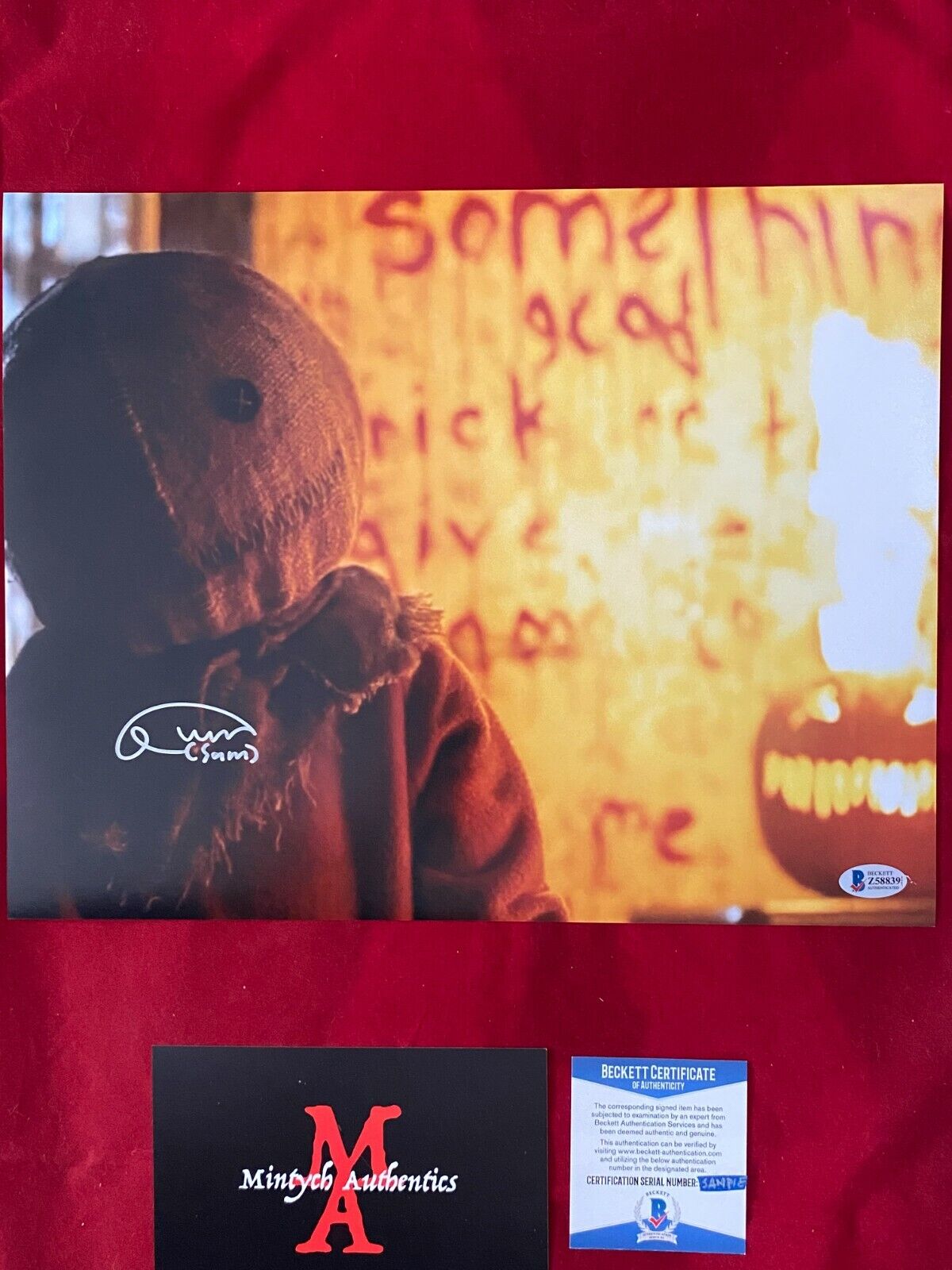 QUINN LORD TRICK 'R TREAT AUTOGRAPHED SIGNED 11x14 Photo Poster painting! BECKETT! HORROR! SAM!