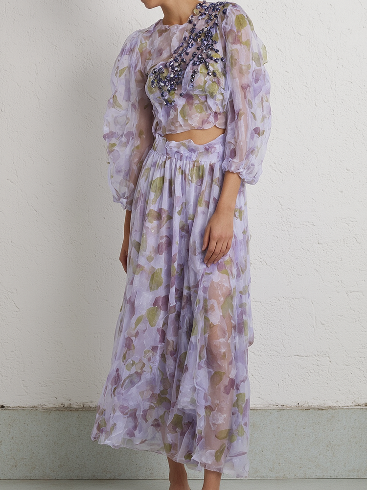  Mesh Print Long Sleeve Top & High Waist Skirt Set