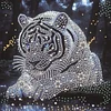 Tiger-Partial Special Shaped Diamond Painting 30*30CM