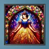 Snow White Stained Glass Full DIY 5D Round Drill Diamond Painting Kit for Adults/Beginners Home Decor Diamond Dots Paintings Picture Arts Craft 40x40cm