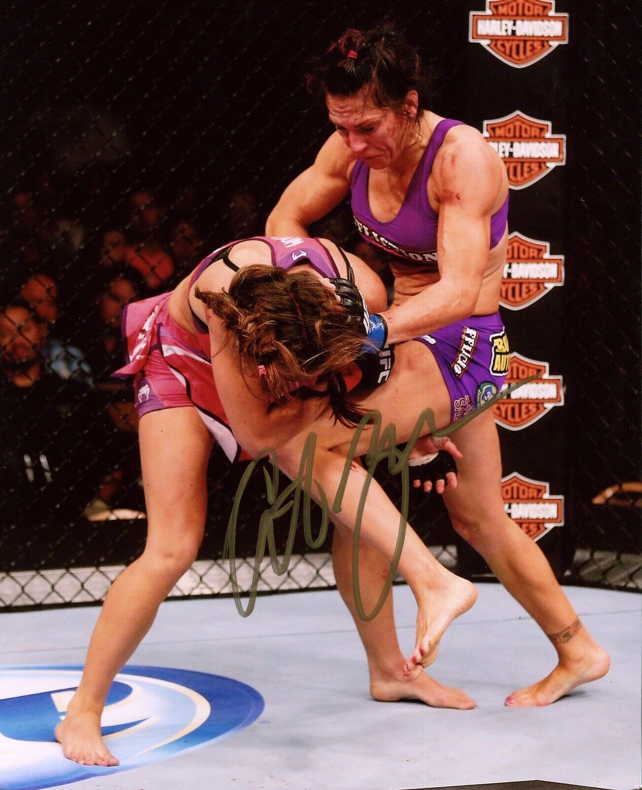 Cat Zingano Autographed Signed 8x10 UFC Photo Poster painting CFS COA Bellator Strikeforce