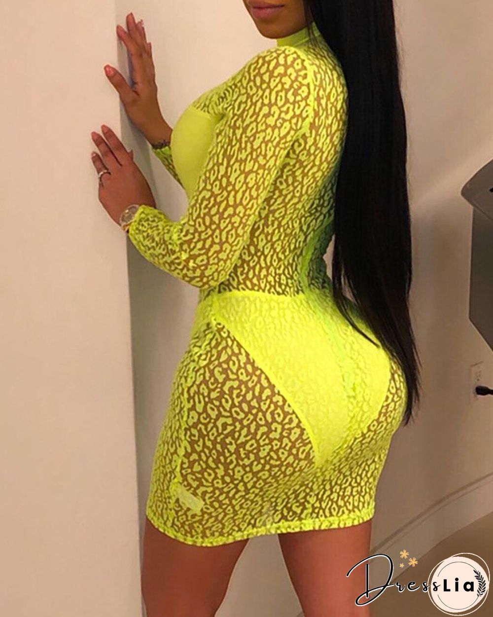 Sheer Leopard Print Bodycon Dress