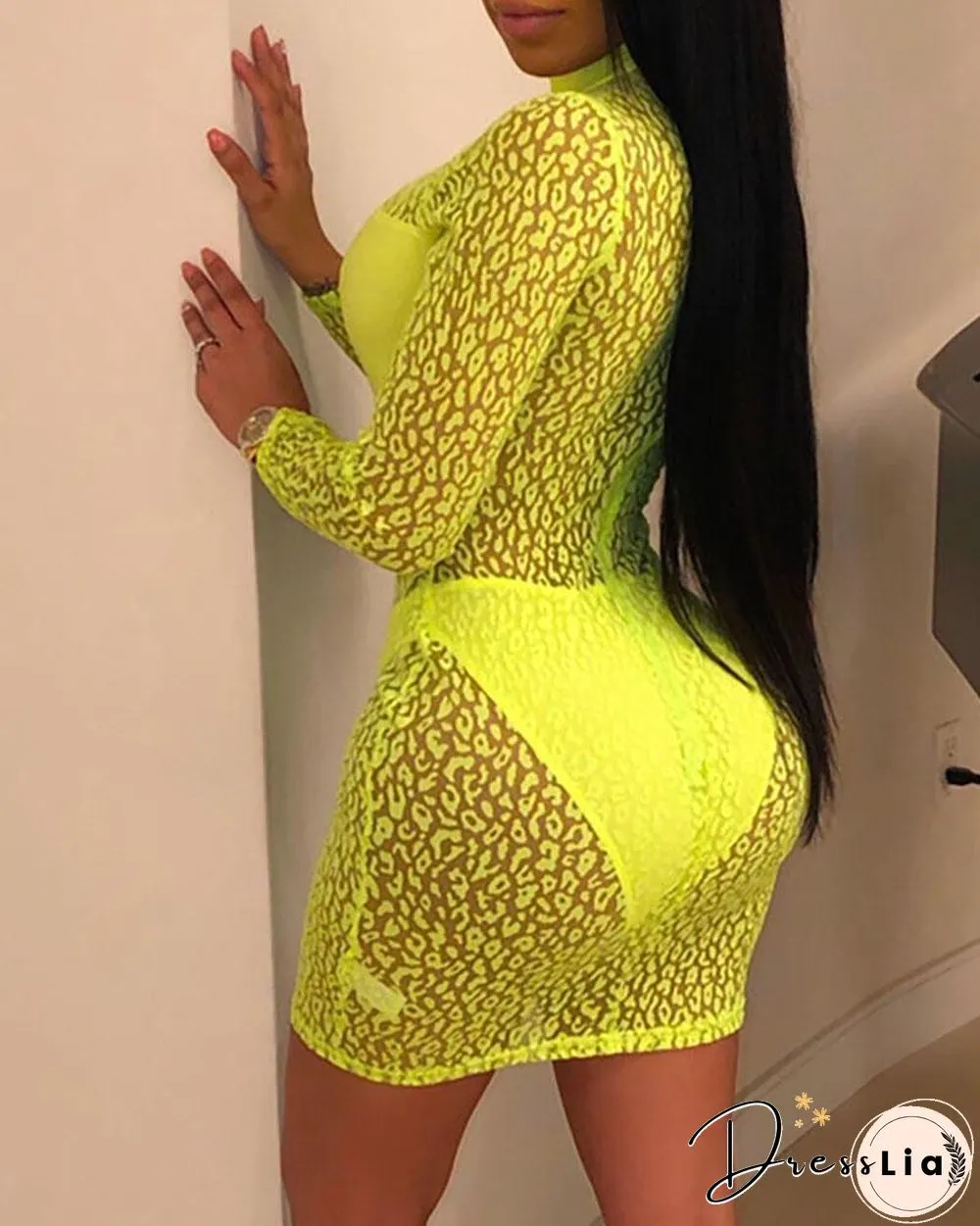 Sheer Leopard Print Bodycon Dress