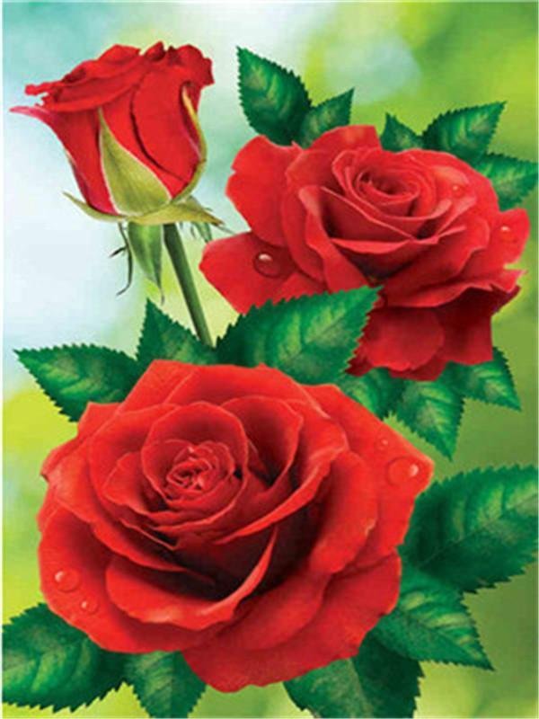 Flower Rose Paint By Numbers Kits UK For Adult Y5434