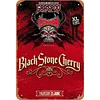 Black Stone Cherry - Vintage Metal Signs - 20*30cm/30*40cm - Music